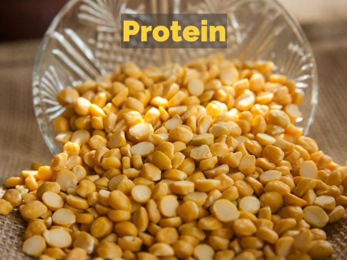 10KeyThings Protein guide
