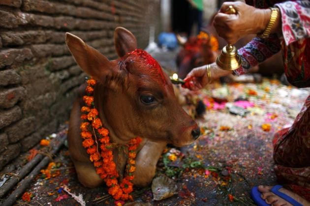 10KeyThings Diwali in Nepal 2