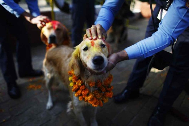 10KeyThings Diwali in Nepal 5