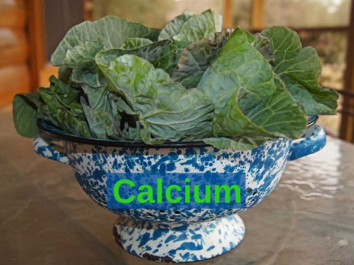10KeyThings Calcium guide